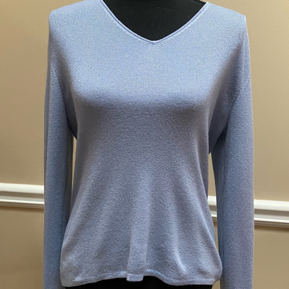 Dana Buchman Sky Blue V-Neck Sweater